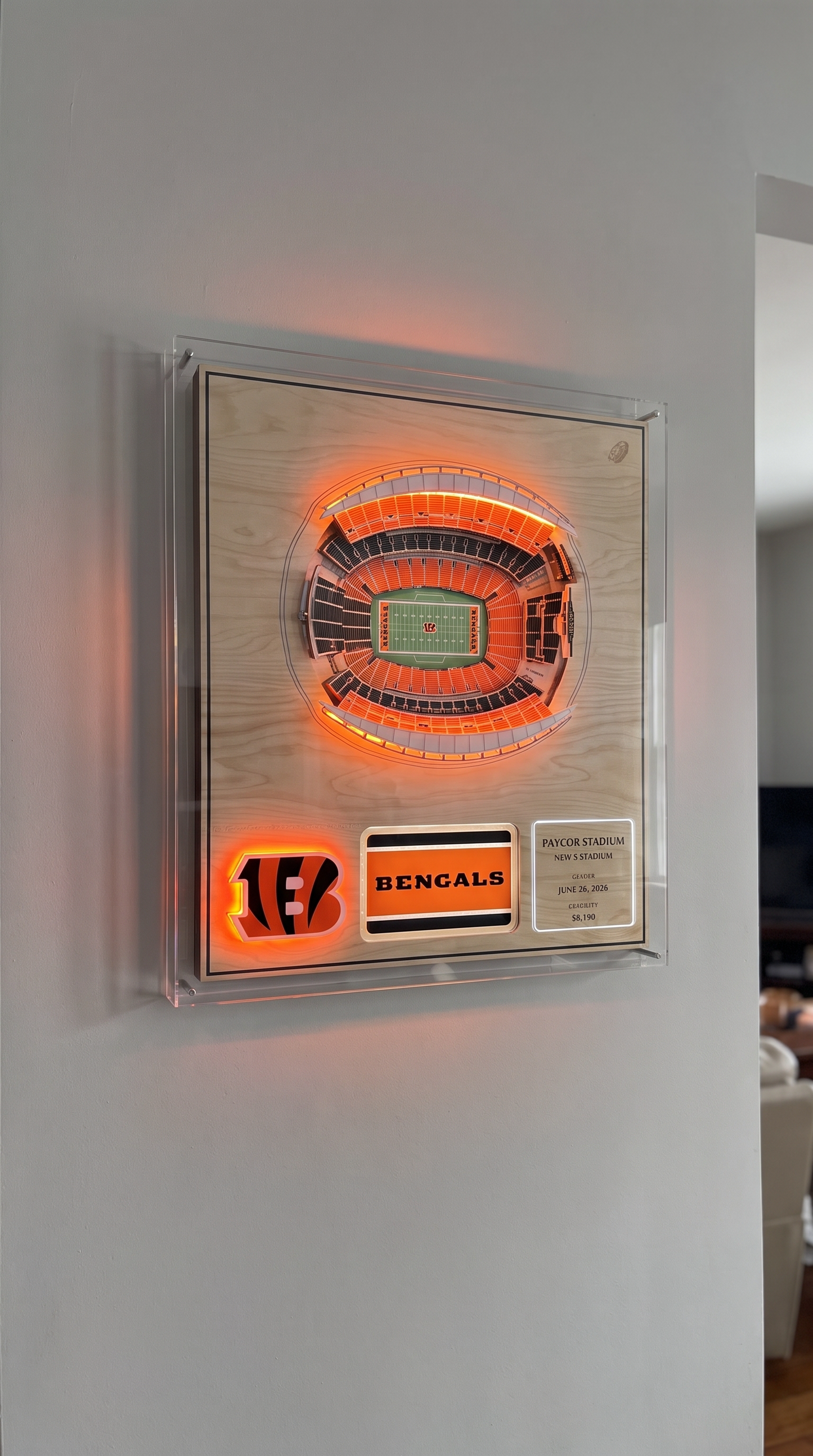 Handmade Stadium Wallart
