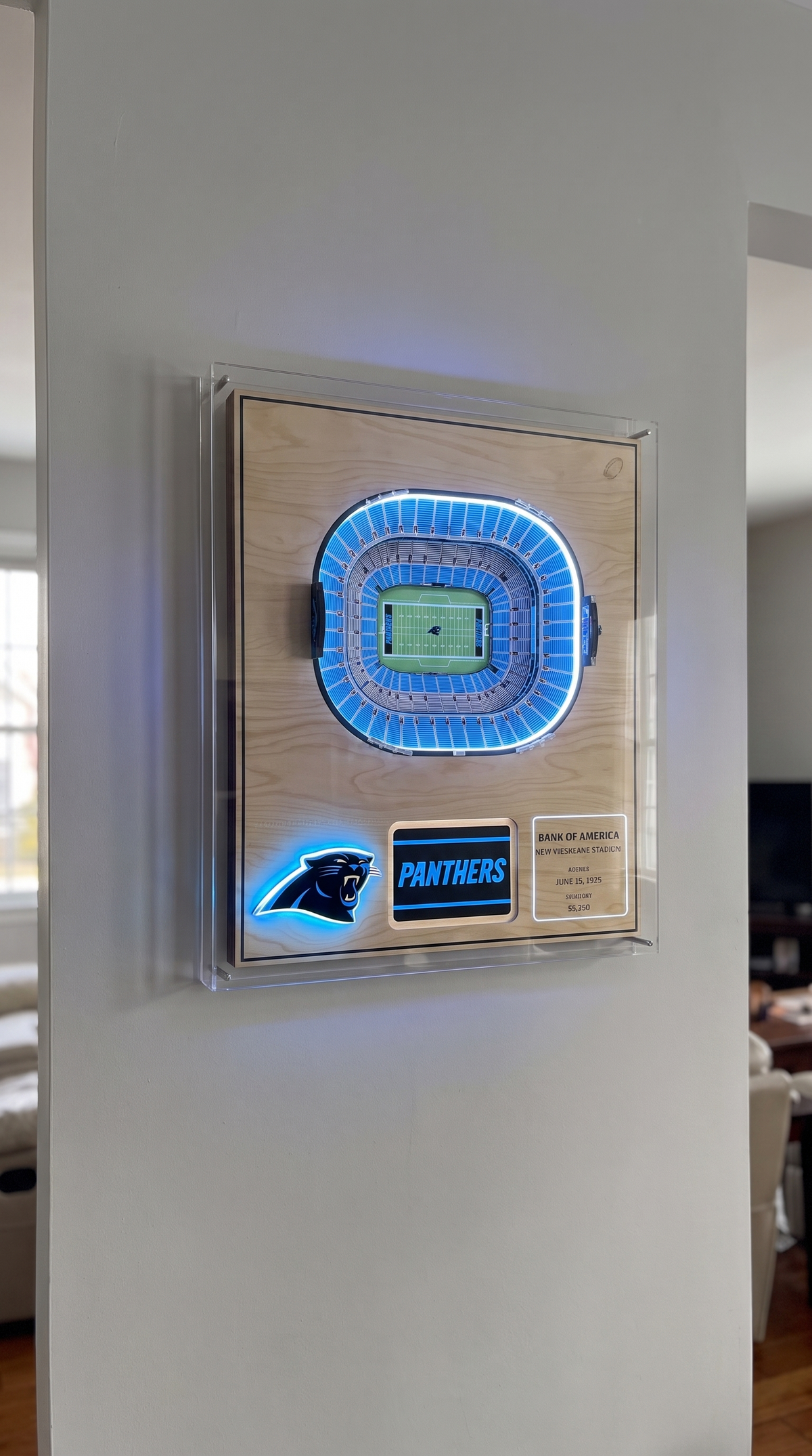 Handmade Stadium Wallart